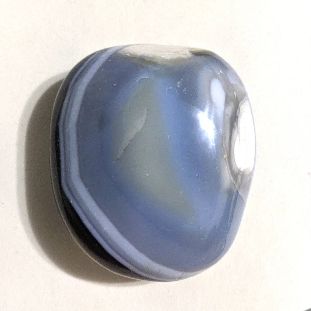 Orca Agate Quahog Clam shape rock ceystal - Picture 1 of 4